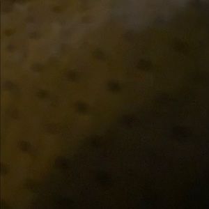 Meet your Posher, Bryce